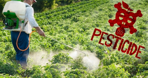 pesticide-danger-cancer.jpg
