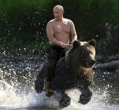 Poutine-et-l-ours.png