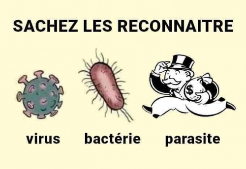 virus bactérie parasite.jpg